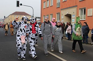 N&auml;rrinnen und Narren zogen durch Sondershausen (1)