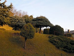 Unterhalb der Burg