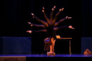 20 Jahre Zappelini - Nordhausens junger Zirkus feiert seinen Geburtstag mit einer gro&szlig;en Gala im Theater