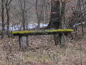 Rund um Friedrichsbrunn