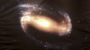 Zu Besuch auf der Th&uuml;ringen Ausstellung