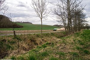 Roland-Rallye bei Bleicherode