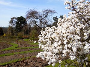 Saisoner&ouml;ffnung im Sangerh&auml;user Rosarium