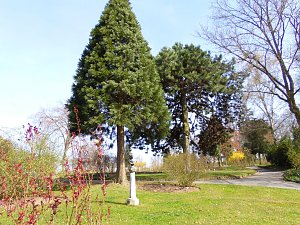Saisoner&ouml;ffnung im Sangerh&auml;user Rosarium