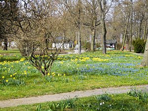 Saisoner&ouml;ffnung im Sangerh&auml;user Rosarium