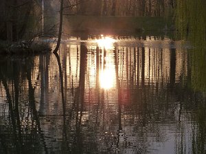 "Untergang" im Park