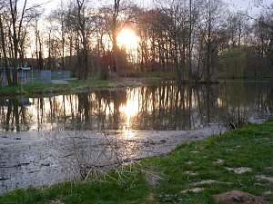 "Untergang" im Park