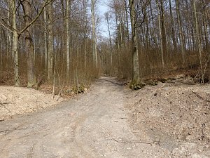 So sieht es im Naturschutzgebiet aus