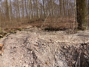 So sieht es im Naturschutzgebiet aus