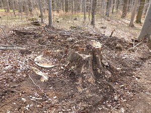 So sieht es im Naturschutzgebiet aus