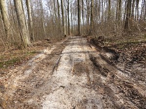 So sieht es im Naturschutzgebiet aus