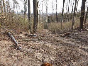 So sieht es im Naturschutzgebiet aus