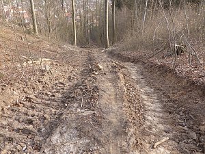 So sieht es im Naturschutzgebiet aus