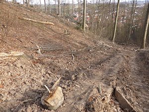 So sieht es im Naturschutzgebiet aus