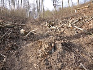 So sieht es im Naturschutzgebiet aus