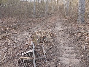 So sieht es im Naturschutzgebiet aus