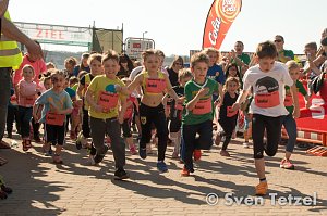 Voller Erfolg - 2. Harztor-Lauf