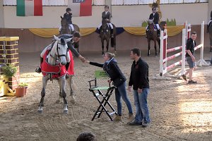 5. Hoffest und Reitturnier in Wollersleben