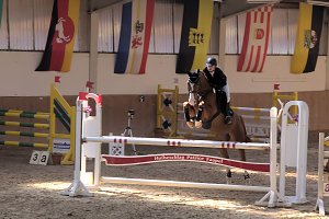 5. Hoffest und Reitturnier in Wollersleben