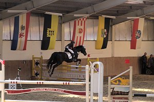 5. Hoffest und Reitturnier in Wollersleben