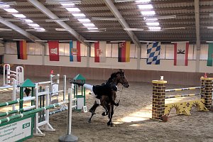5. Hoffest und Reitturnier in Wollersleben
