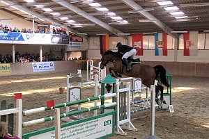 5. Hoffest und Reitturnier in Wollersleben