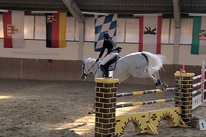 5. Hoffest und Reitturnier in Wollersleben