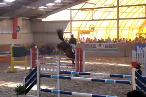 5. Hoffest und Reitturnier in Wollersleben