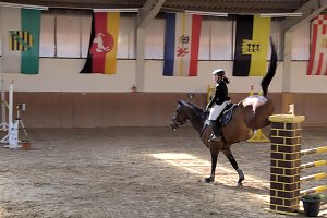 5. Hoffest und Reitturnier in Wollersleben
