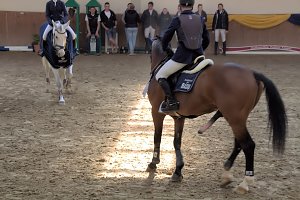 5. Hoffest und Reitturnier in Wollersleben