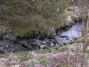 Moore, Hexen und Harz
