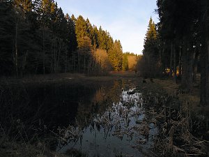 Moore, Hexen und Harz