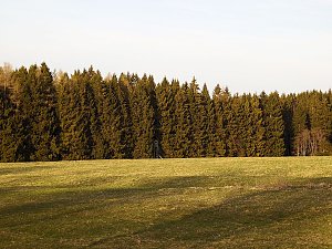 Moore, Hexen und Harz