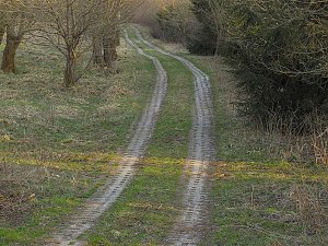 Moore, Hexen und Harz