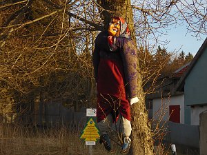 Moore, Hexen und Harz