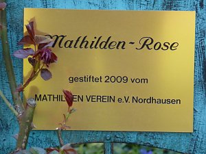 Der Nordh&auml;user Dom