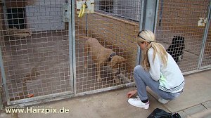 Tierheim Nordhausen