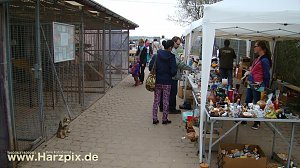 Tierheim Nordhausen