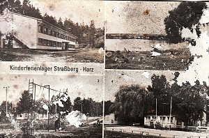 Der Treue Nachbarteich - die h&auml;ssliche Seite