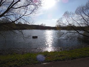 Der Treue Nachbarteich - die h&auml;ssliche Seite