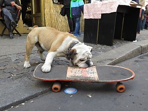 1. Mai in Berlin Kreuzberg