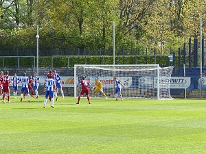 Herthas U23 gewinnt gegen Wacker