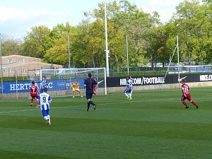 Herthas U23 gewinnt gegen Wacker