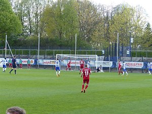 Herthas U23 gewinnt gegen Wacker