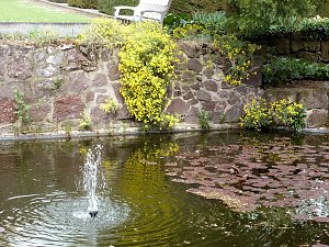 Besuch im Park