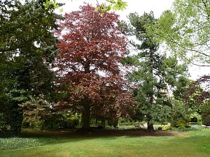 Besuch im Park