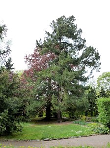 Besuch im Park