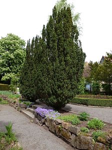Besuch im Park