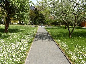 Besuch im Park