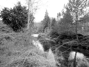 Die dunkle Seite von Nordhausen (Teil 2)